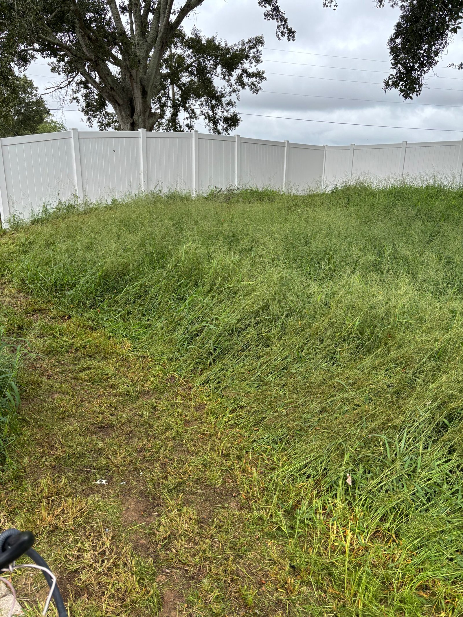 IMG_20251010_181020 (11)